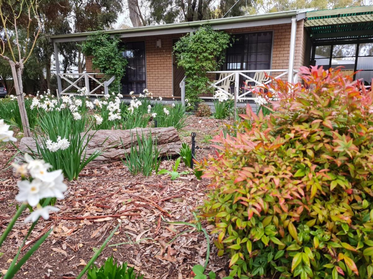 Barossa Country Cottages Lyndoch Eksteriør billede